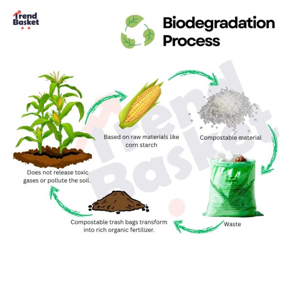 100% Compostable Garbage Bag - Image 5